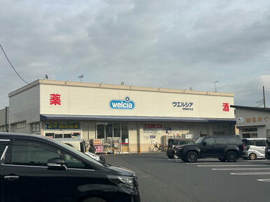 ウエルシア相模原田名店