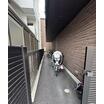 共有部分