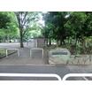 公園