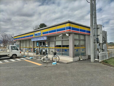 ミニストップ 埼玉平成高校前店