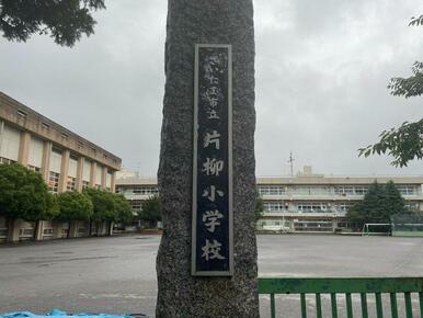 片柳小学校