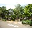公園