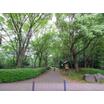 公園