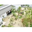 幼稚園、保育園
