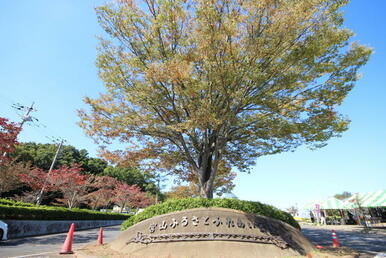 宮山ふるさとふれあい公園