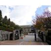 大学