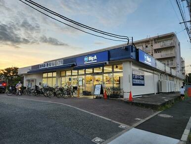 ビッグ・エー烏山北住宅店