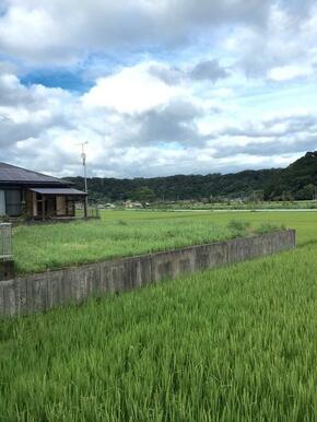 現地状況です。日当たりはとても良好です。