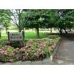 公園