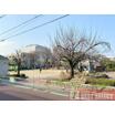 公園