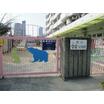 幼稚園、保育園