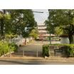 公園