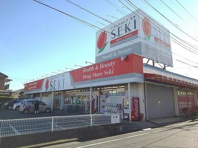 ドラッグストアセキ八潮店