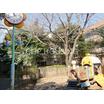 幼稚園、保育園