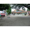 幼稚園、保育園
