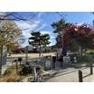 公園