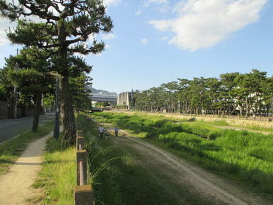 芦屋川