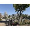 公園