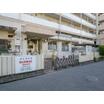 幼稚園、保育園