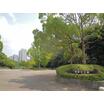 公園