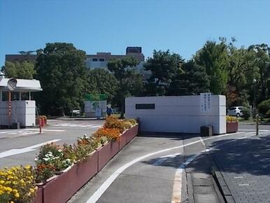 三重大学