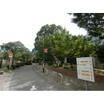 公園
