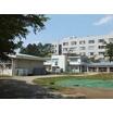 幼稚園、保育園