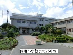 向陽小学校