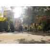 公園