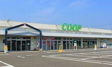 COOP　MIYAGI大富店