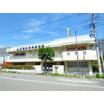 幼稚園、保育園