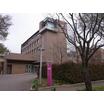大学