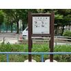 公園