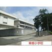 小学校