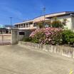 幼稚園、保育園