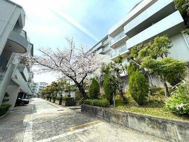 敷地内の桜が春の訪れを感じさせてくれます。