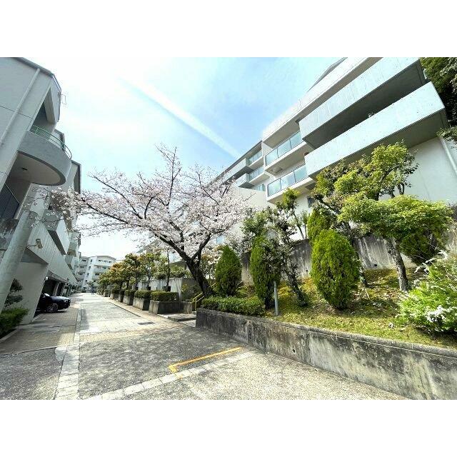 敷地内の桜が春の訪れを感じさせてくれます。