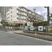 幼稚園、保育園