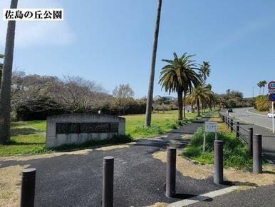 佐島の丘公園