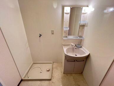 便利な独立洗面台と室内洗濯機置き場