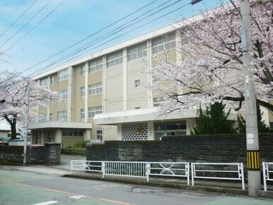 緑丘小学校