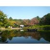公園