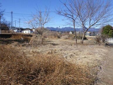 現地写真