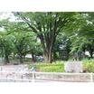 公園