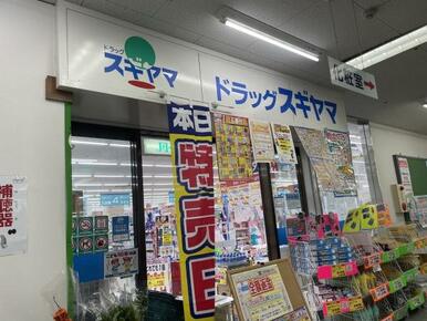 ドラッグスギヤマ坂下店