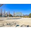 公園