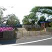 公園