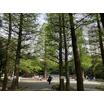 公園