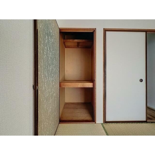 天井の高さまでしっかり入ります