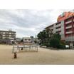 公園